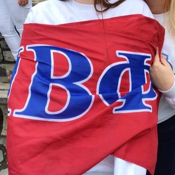Pi Beta Phi Logo Banner Flag - Picture 5 of 5